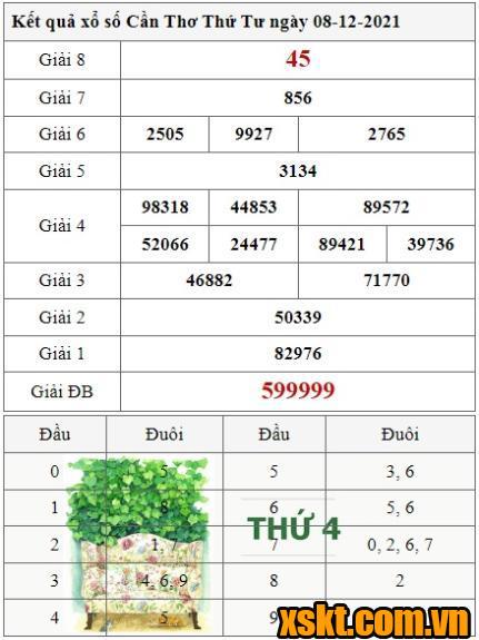 XSCT ngày 8/12/2021